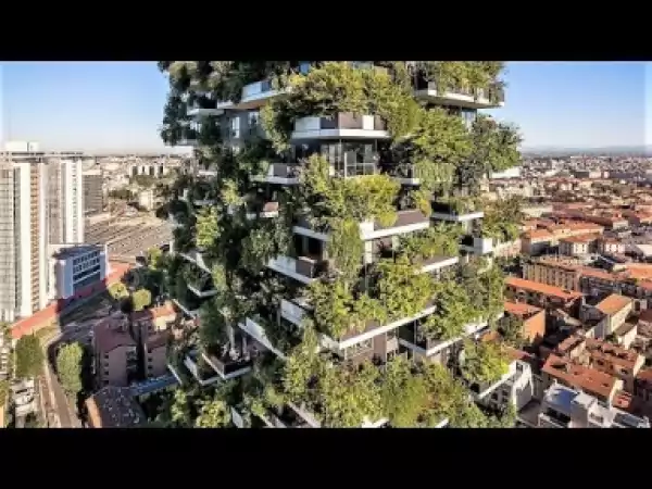 Video: Crazy Urban Nature